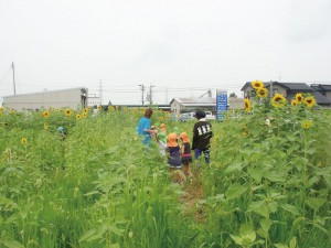 鳥海やわた観光株式会社 (5)